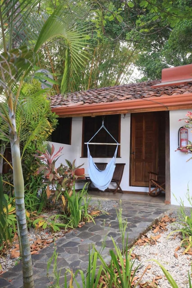 Tropical Garden photo 3