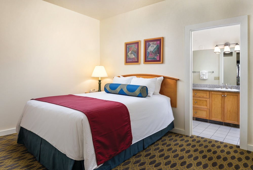 Studio Suite, Kitchenette