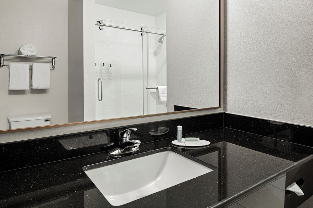 Suite, 1 Bedroom - Photo 8
