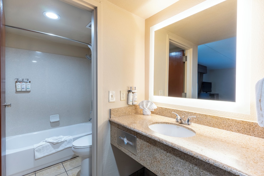 Suite, 1 Bedroom - Photo 3