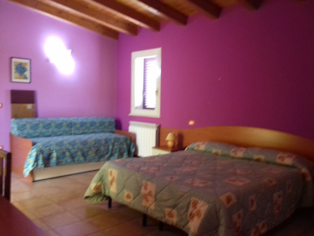 Double or Twin Room photo 1