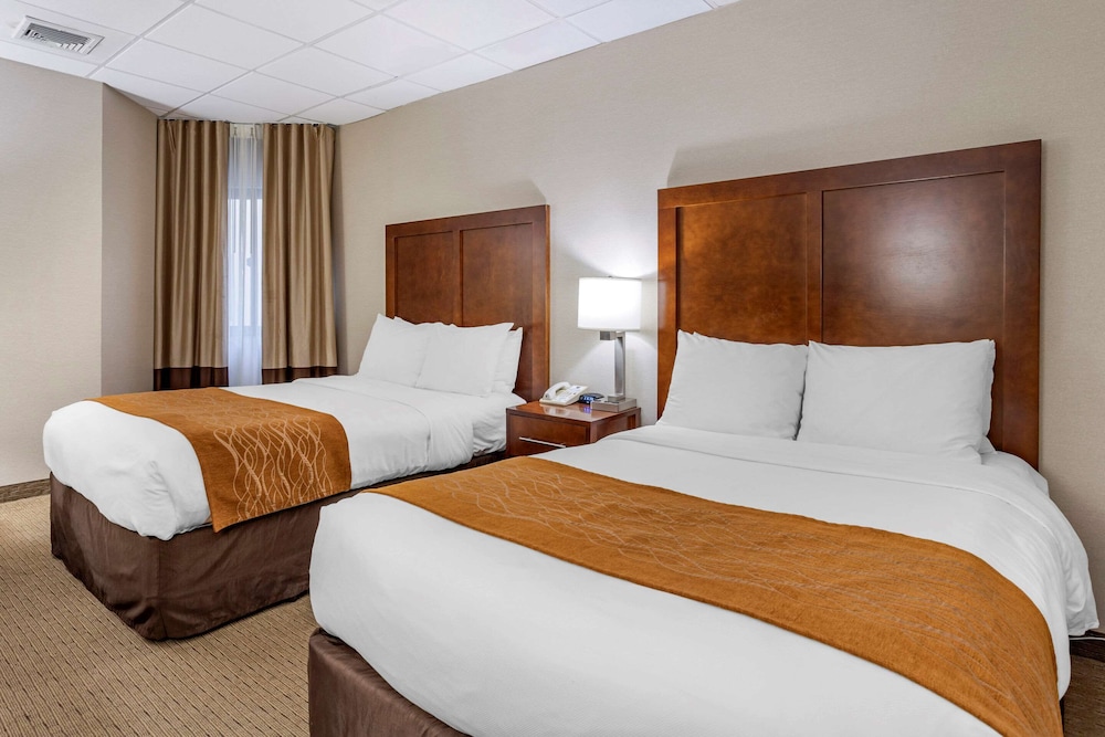 Suite, Multiple Beds, Accessible, Non Smoking photo 1