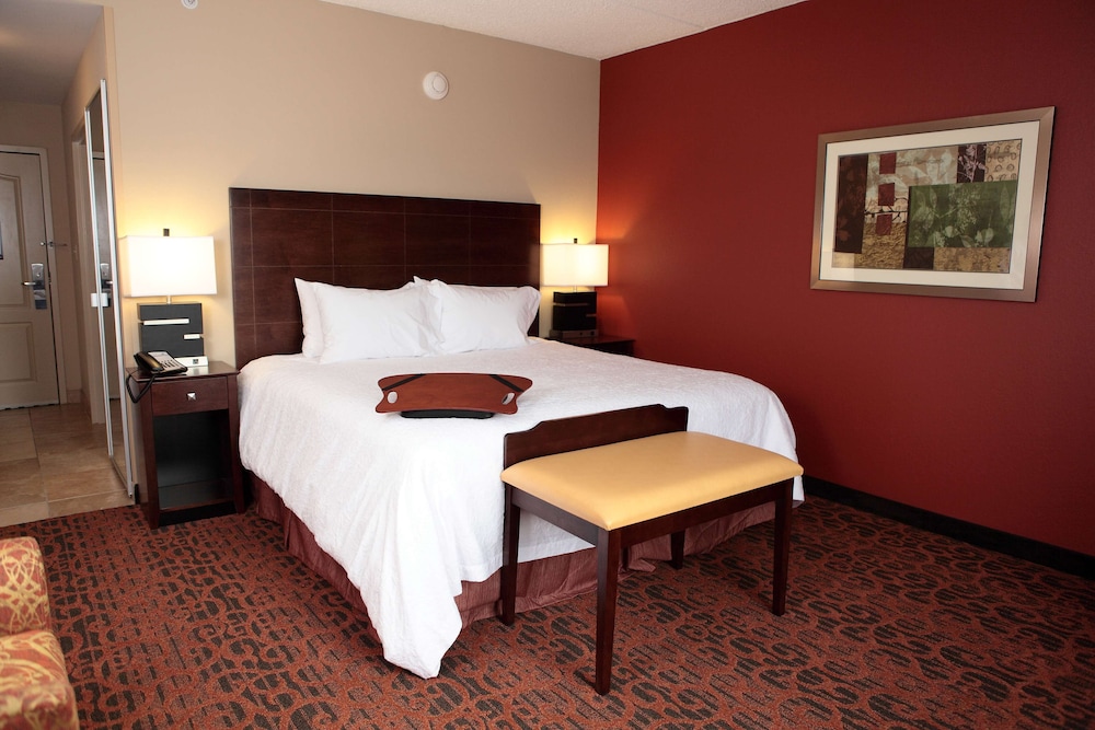 Room, 1 King Bed, Non Smoking photo 1