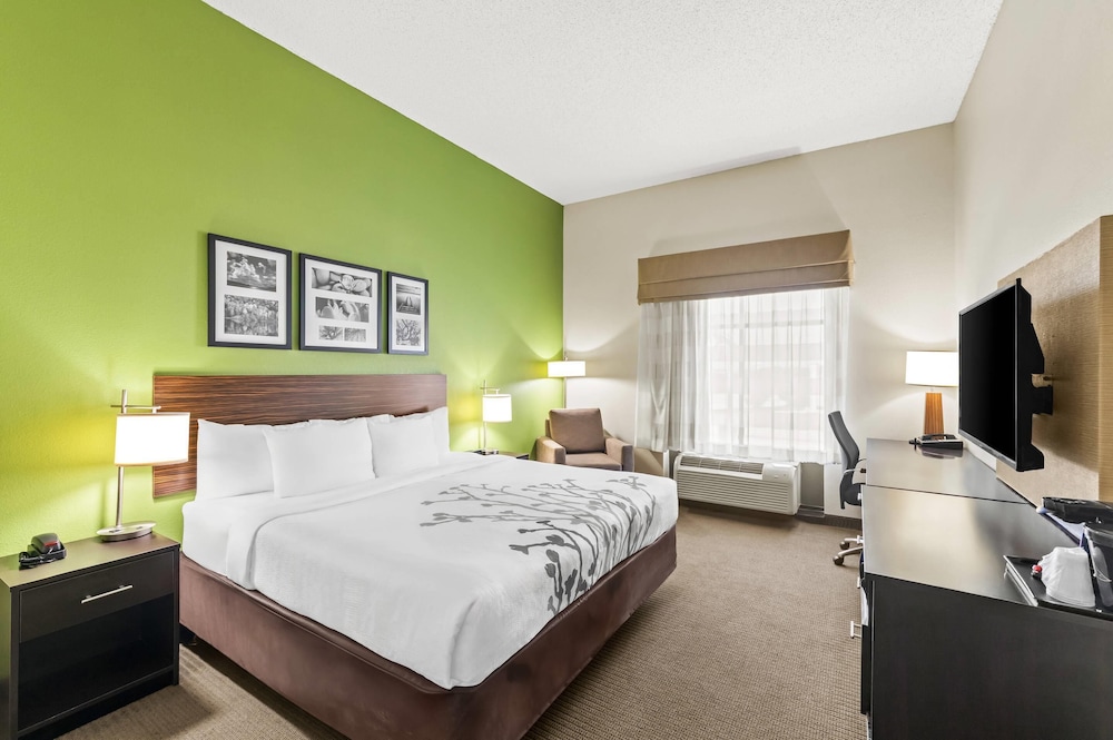 Room, 1 King Bed, Accessible, Non Smoking - Photo 1