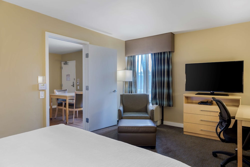 Suite, 1 King Bed, Accessible, Non Smoking (Walk-in Shower;with Sofabed) - Photo 1