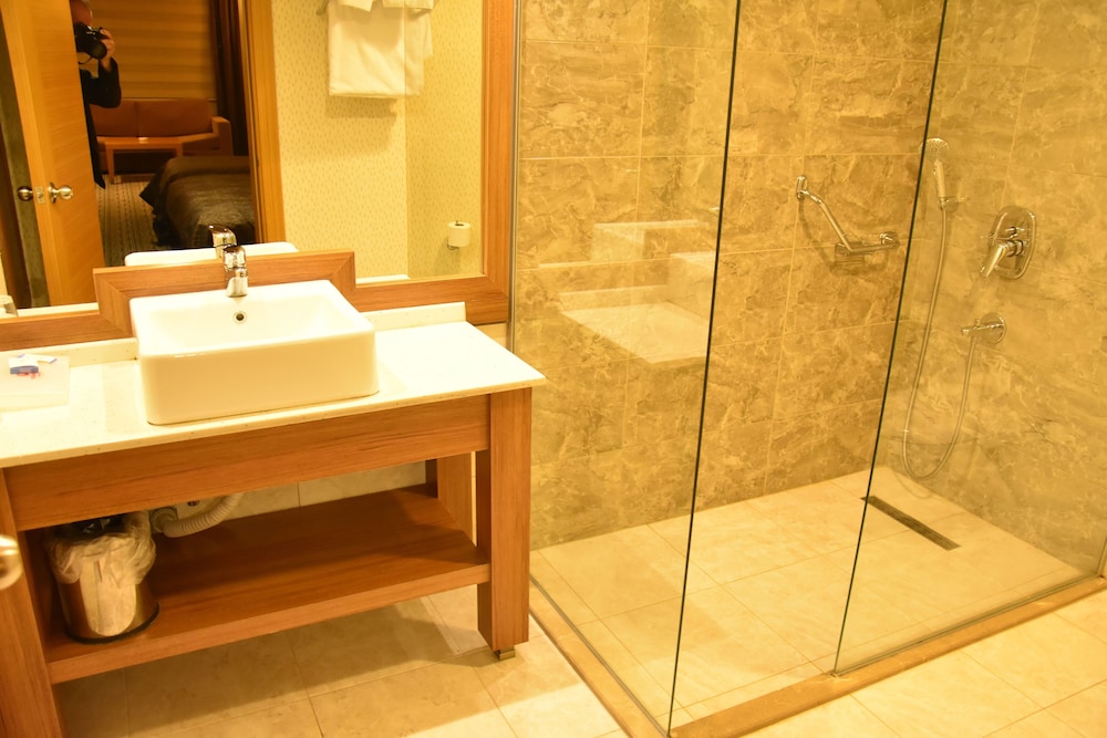Deluxe Room photo 3