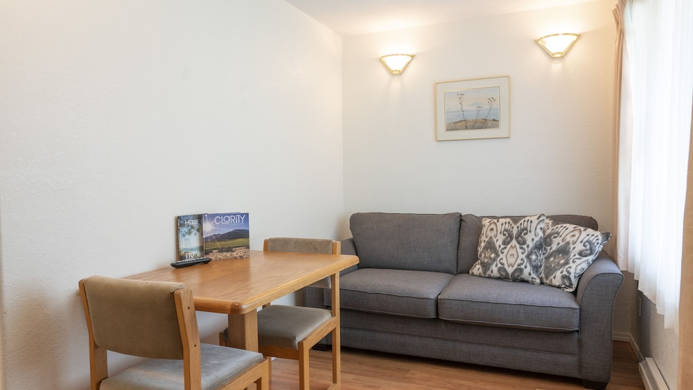 Suite, 1 Bedroom, Kitchenette photo 3