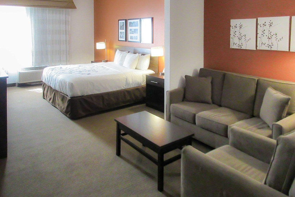 Suite, 1 King Bed with Sofa bed, Accessible, Non Smoking - Photo 1