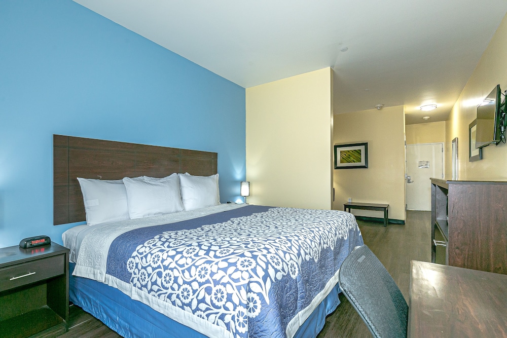 Standard Studio Suite, 1 King Bed with Sofa bed, Accessible photo 1