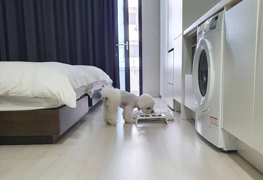 Family Twin Room (below 6kg, 1 pet allowed) - Photo 9