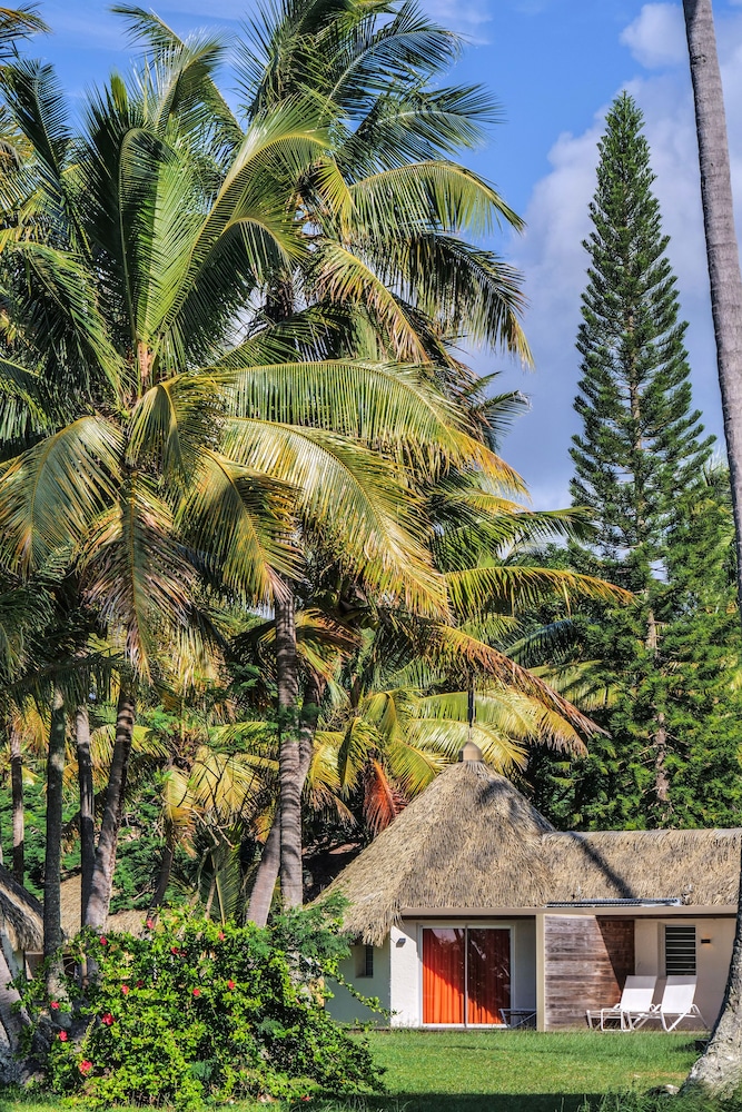Premium Bungalow photo 3