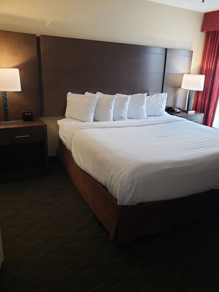 Superior Suite, 1 King Bed with Sofa bed, Jetted Tub (One-Bedroom) - Photo 1
