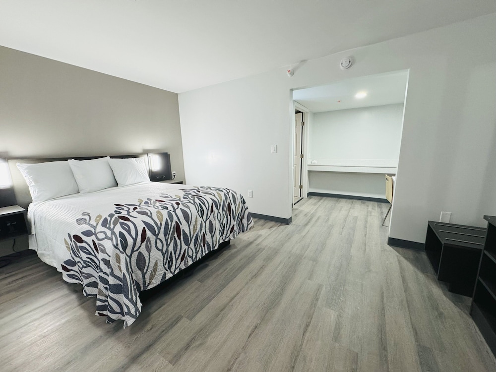 Deluxe Room, 1 King Bed, Roll-in Shower, Non Smoking photo 1