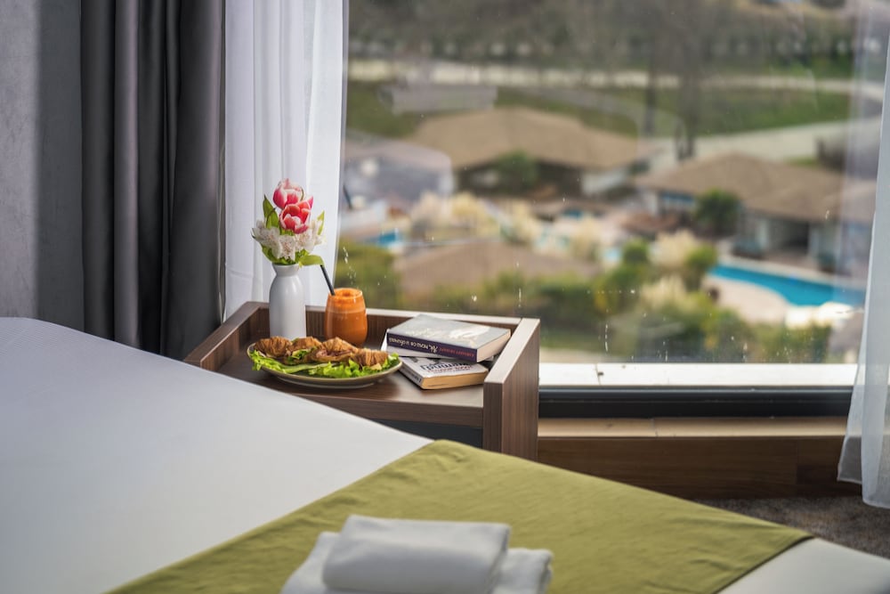 Premium Room, City View photo 3