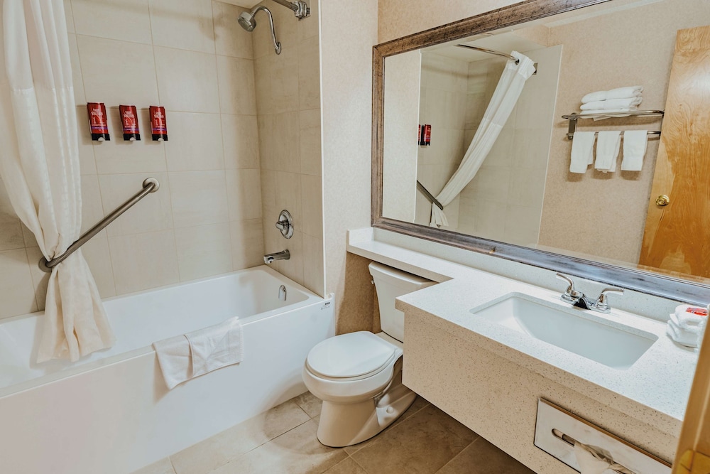 Suite, 1 King Bed, Non Smoking, Jetted Tub - Photo 5