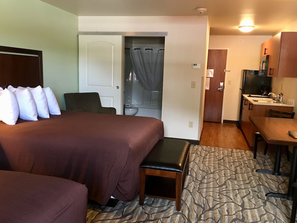 Deluxe Studio Suite, 2 Queen Beds, Kitchenette photo 2