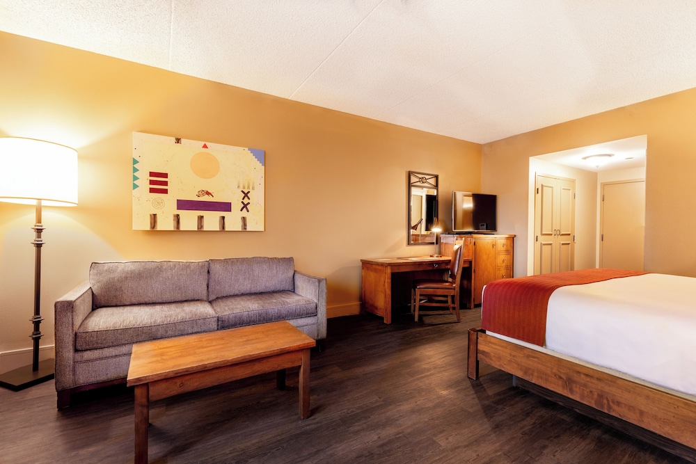 Deluxe Room, 1 King Bed, City View (Deluxe King ADA Tub)