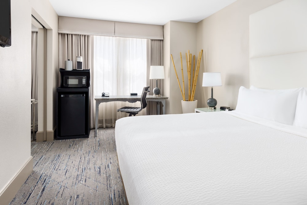Suite, 1 King Bed with Sofa bed