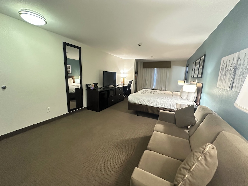 Suite, 1 King Bed with Sofa bed, Accessible, Non Smoking photo 1