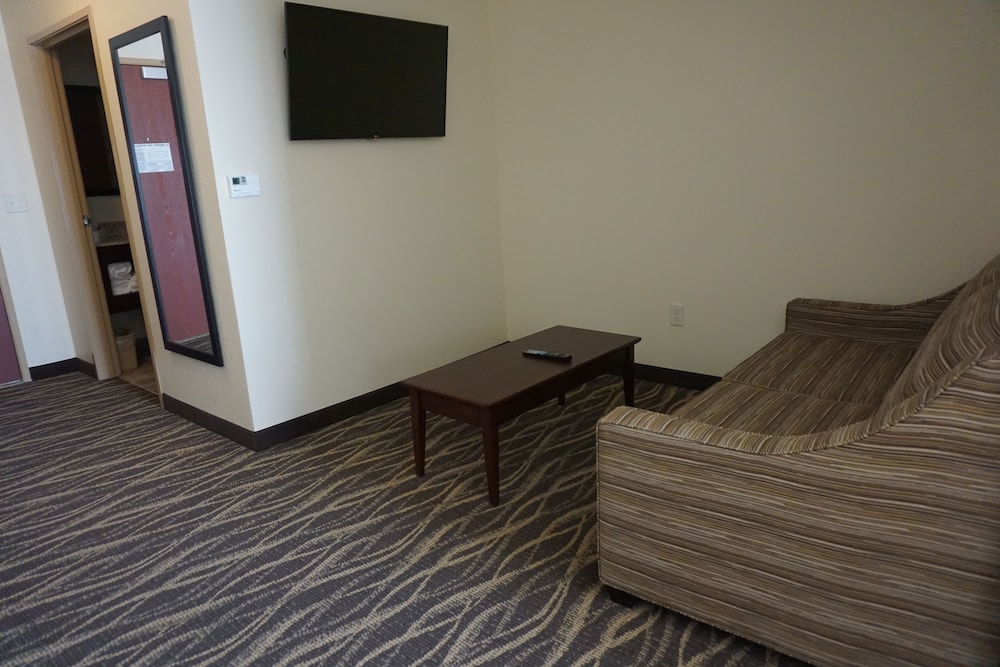 Studio, 1 King Bed with Sleeper Sofa, Audible/Visual Accessible, Non Smoking photo 3