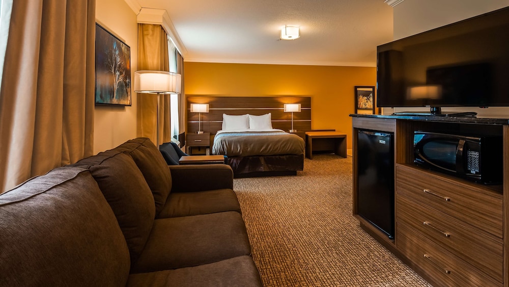 Standard Room, 1 King Bed, Accessible, Non Smoking - Photo 4