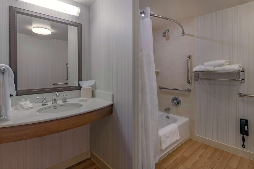 Suite, 1 King Bed, Accessible (Roll-In Shower) - Photo 4