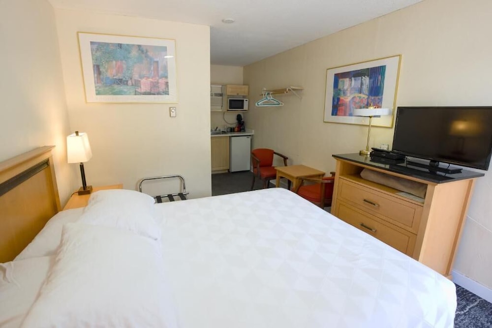 Standard Single Room, 1 Queen Bed, Non Smoking, Mountain View photo 2