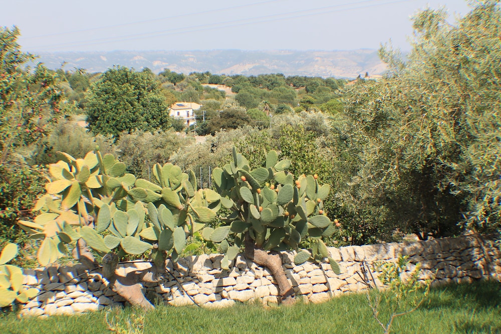 Fattoria Antica in Sicilia, Foto 9