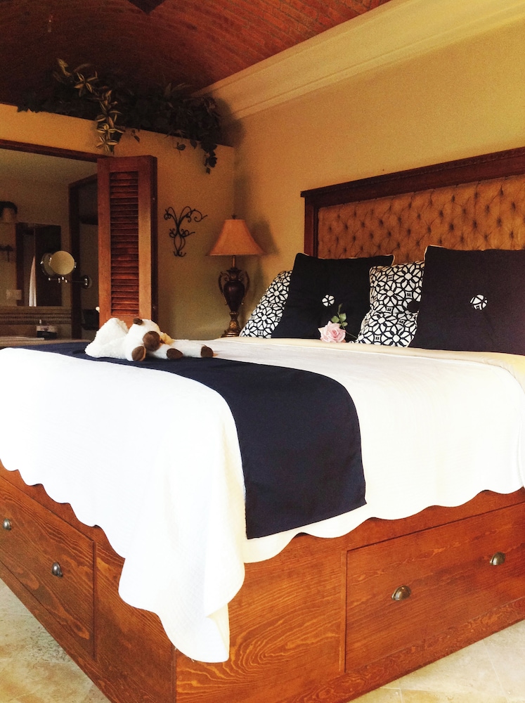 Luxury Single Room photo 1