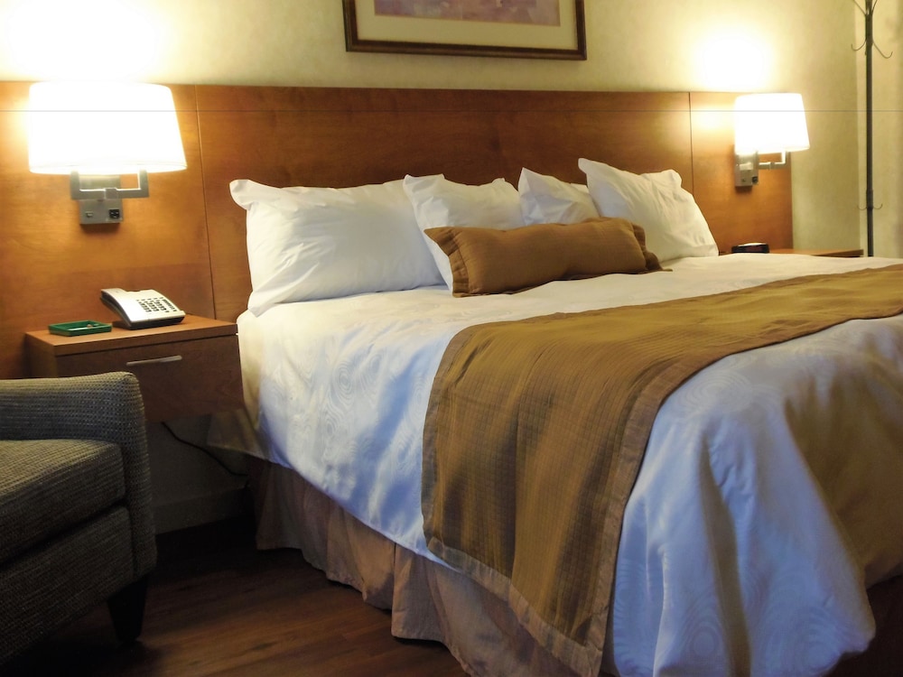 Executive Suite, 1 Bedroom photo 2
