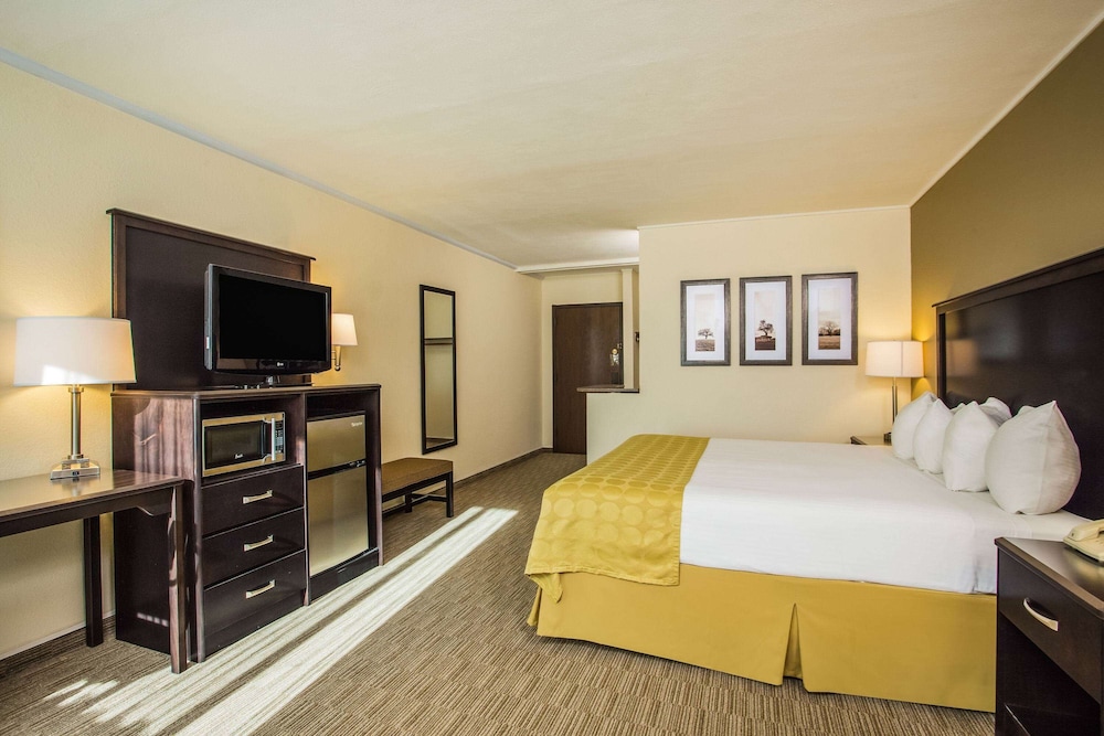 Room, 1 King Bed, Non Smoking, Poolside - Photo 1