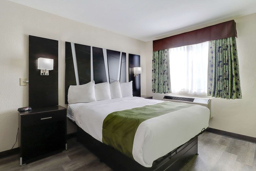 Suite, 1 King Bed - Photo 11