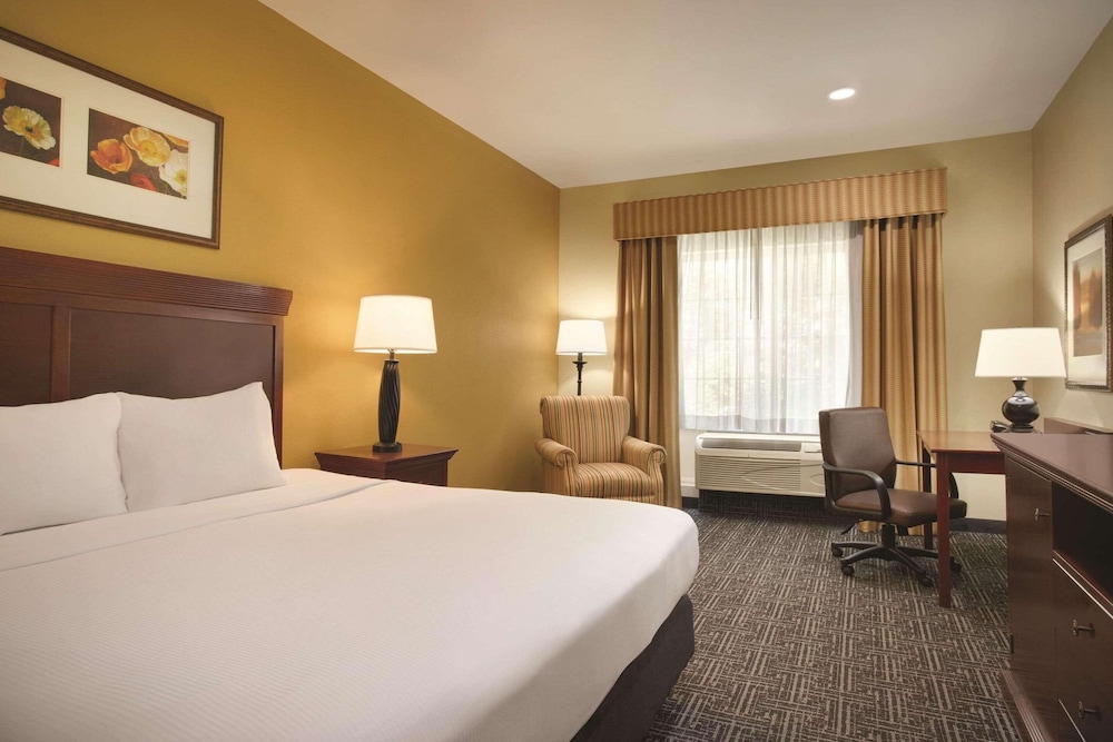 Suite, 1 Bedroom, Non Smoking photo 1