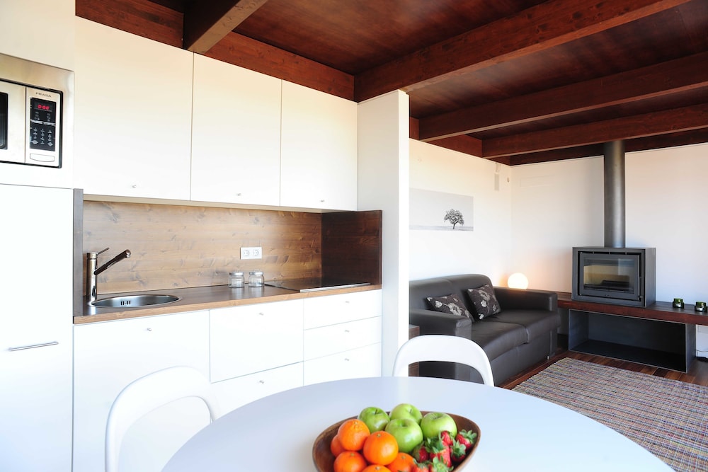 Suite, Terrace, Mountain View photo 2