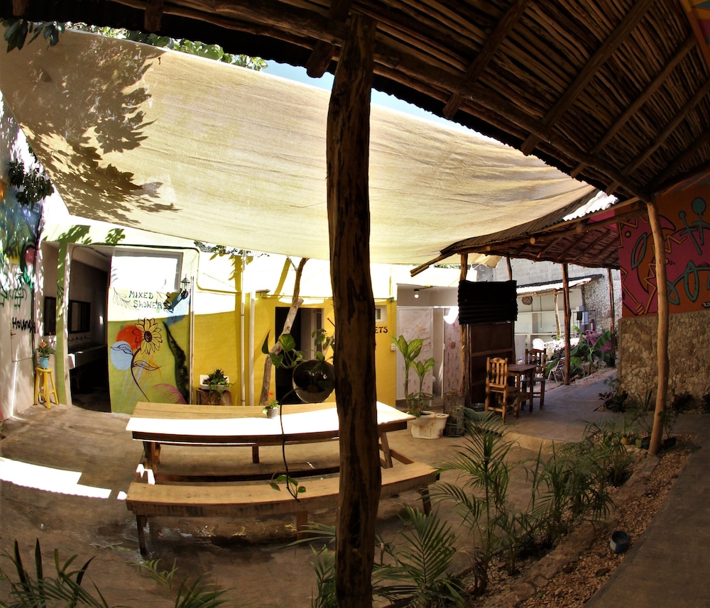 Standard Shared Dormitory, Mixed Dorm photo 2