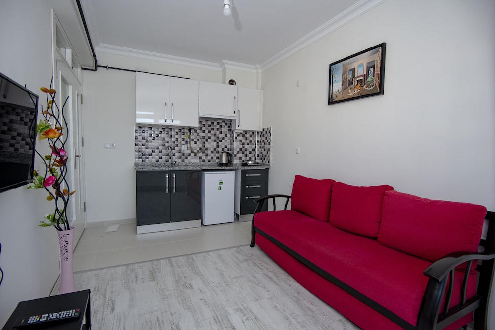 Standard Apartment photo 3