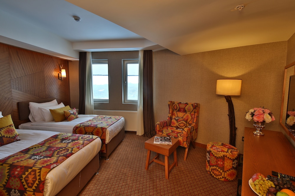 Superior Room photo 3