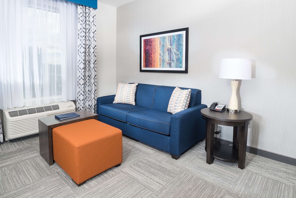 Suite, 1 Bedroom, Non Smoking photo 3
