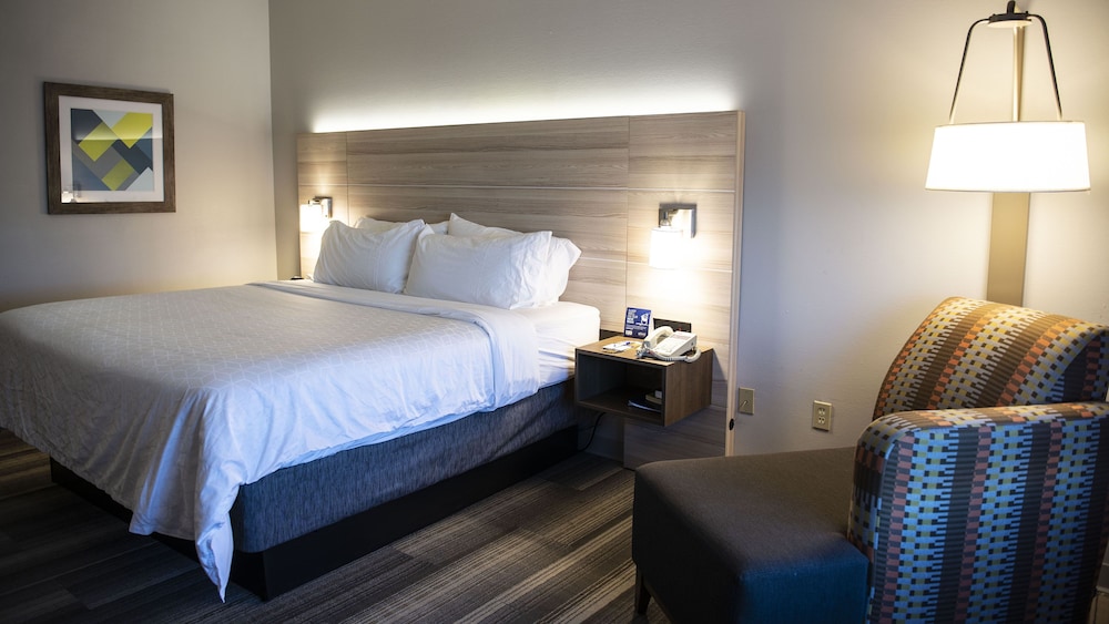 Suite, 1 King Bed, Accessible (Communications Accessible) - Photo 8