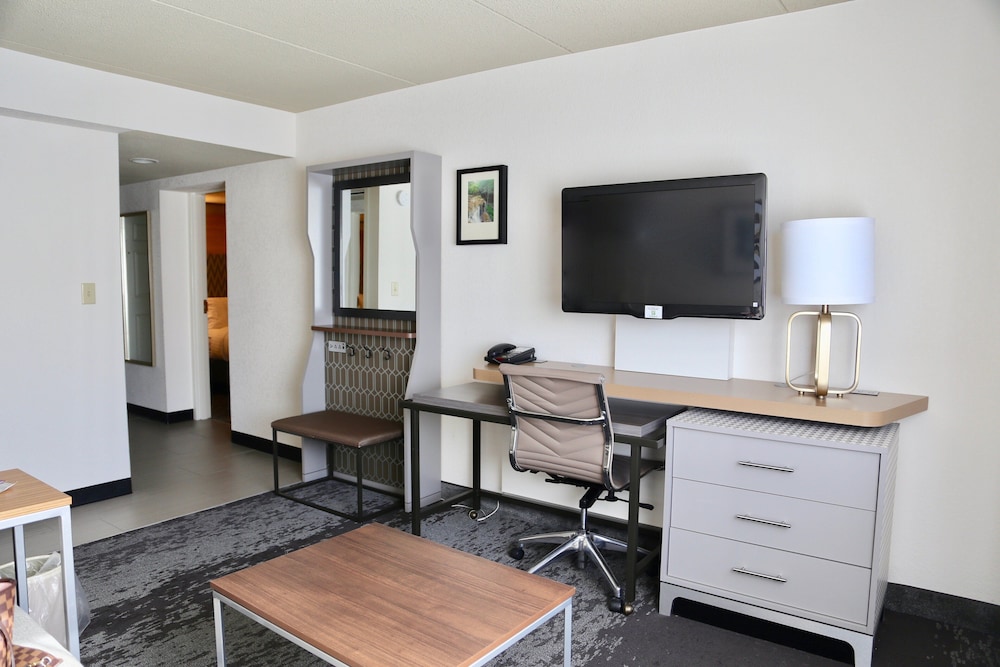 Suite, 1 Bedroom - Photo 1