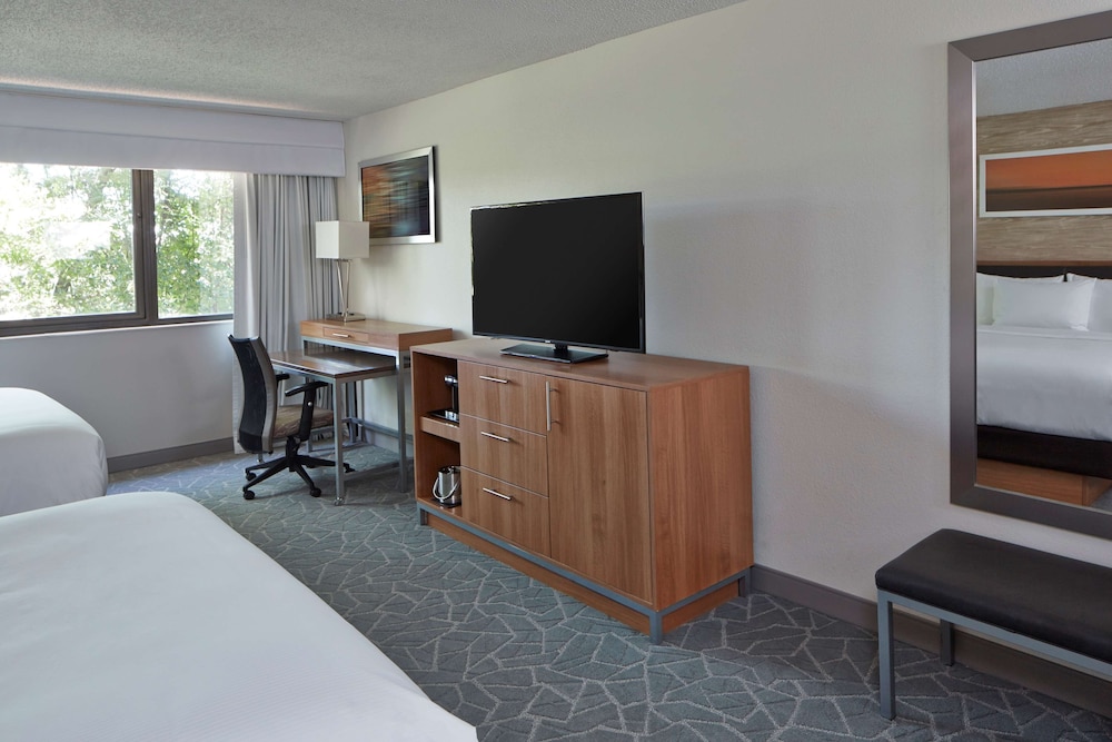 Suite, 1 King Bed - Photo 1