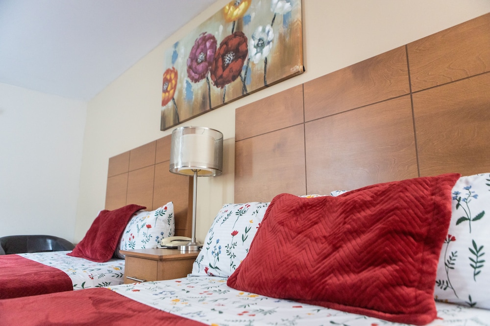 Comfort Quadruple Room photo 1