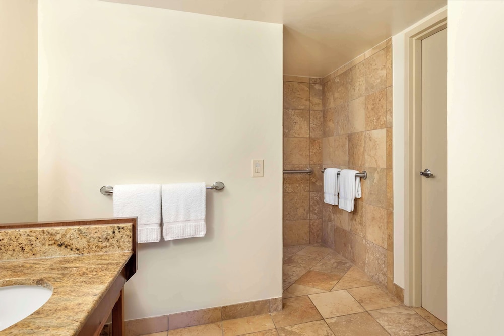 1 Bedroom Pool View King Suite Roll in Shwr - Photo 6