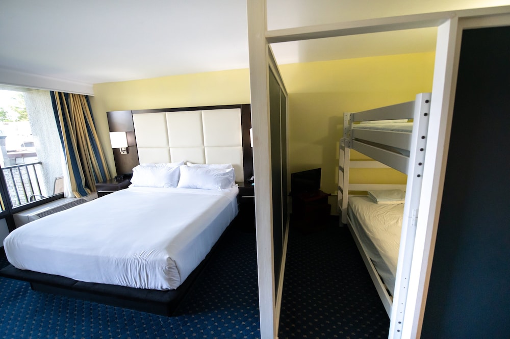 Suite, 1 Bedroom - Photo 3