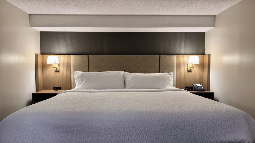 Suite, 1 King Bed, Microwave - Photo 1