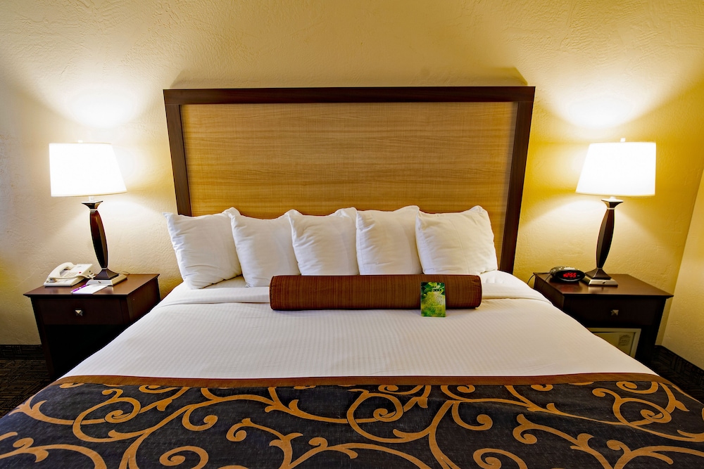 Standard Room, 1 King Bed, Refrigerator & Microwave
