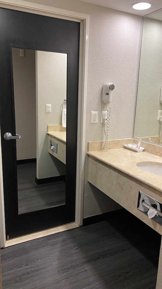 Standard Twin Room photo 2