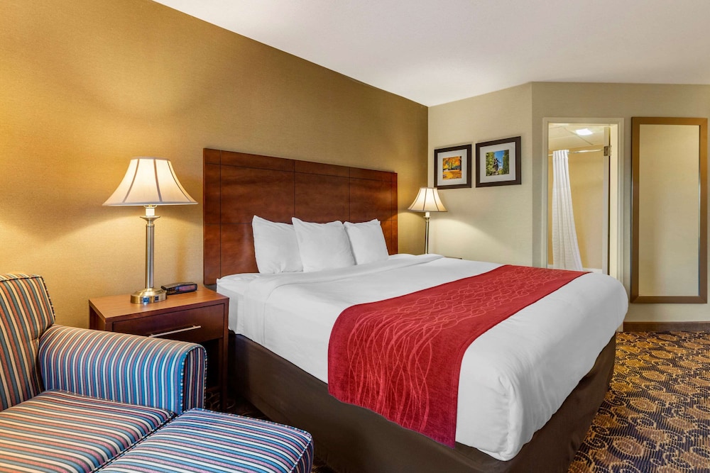 Standard Room, 1 King Bed, Non Smoking - Photo 1