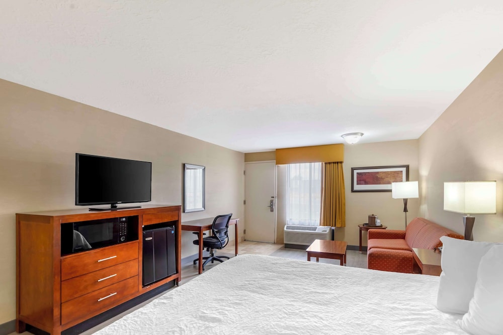 Standard Room, 1 King Bed, Non Smoking (Pet Friendly)