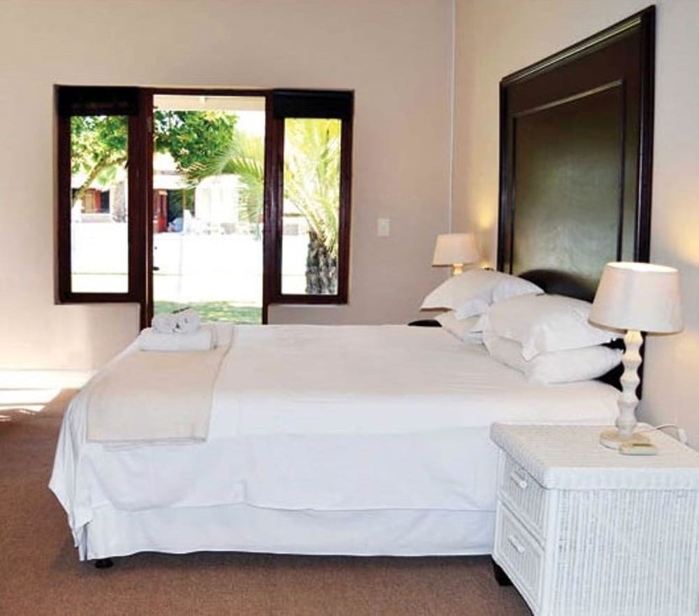 Comfort Studio, 1 King Bed photo 1